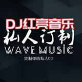 中文串烧,DJ红亮-精选好听的得到你的人却得不到你的心音乐版串烧