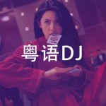  全粤语DJ串烧,百听不腻