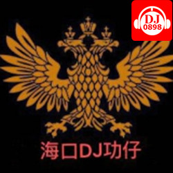 海口DJ功仔
